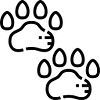 3158003